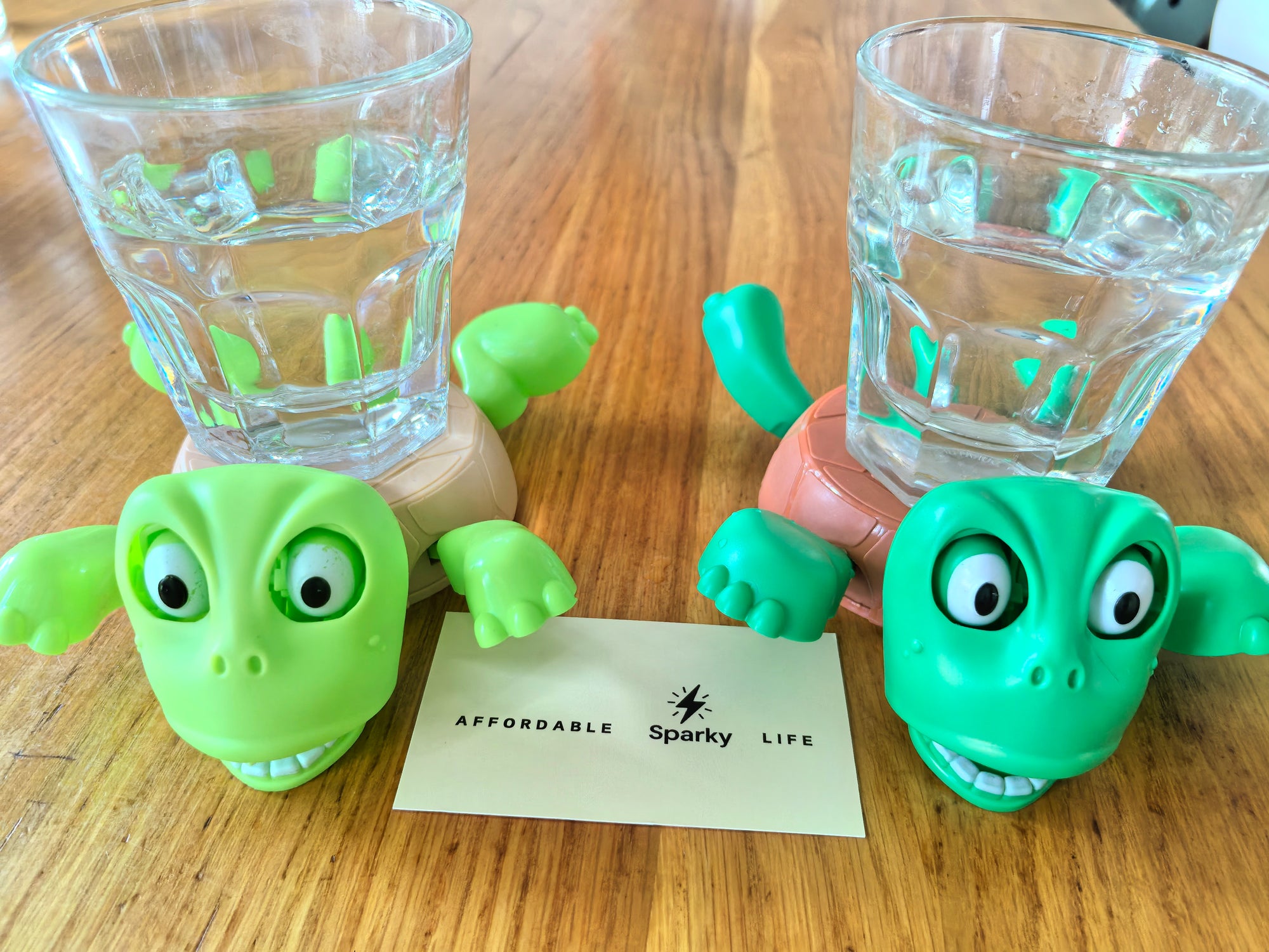 The Quirky Pop-Up Turtle Coaster
