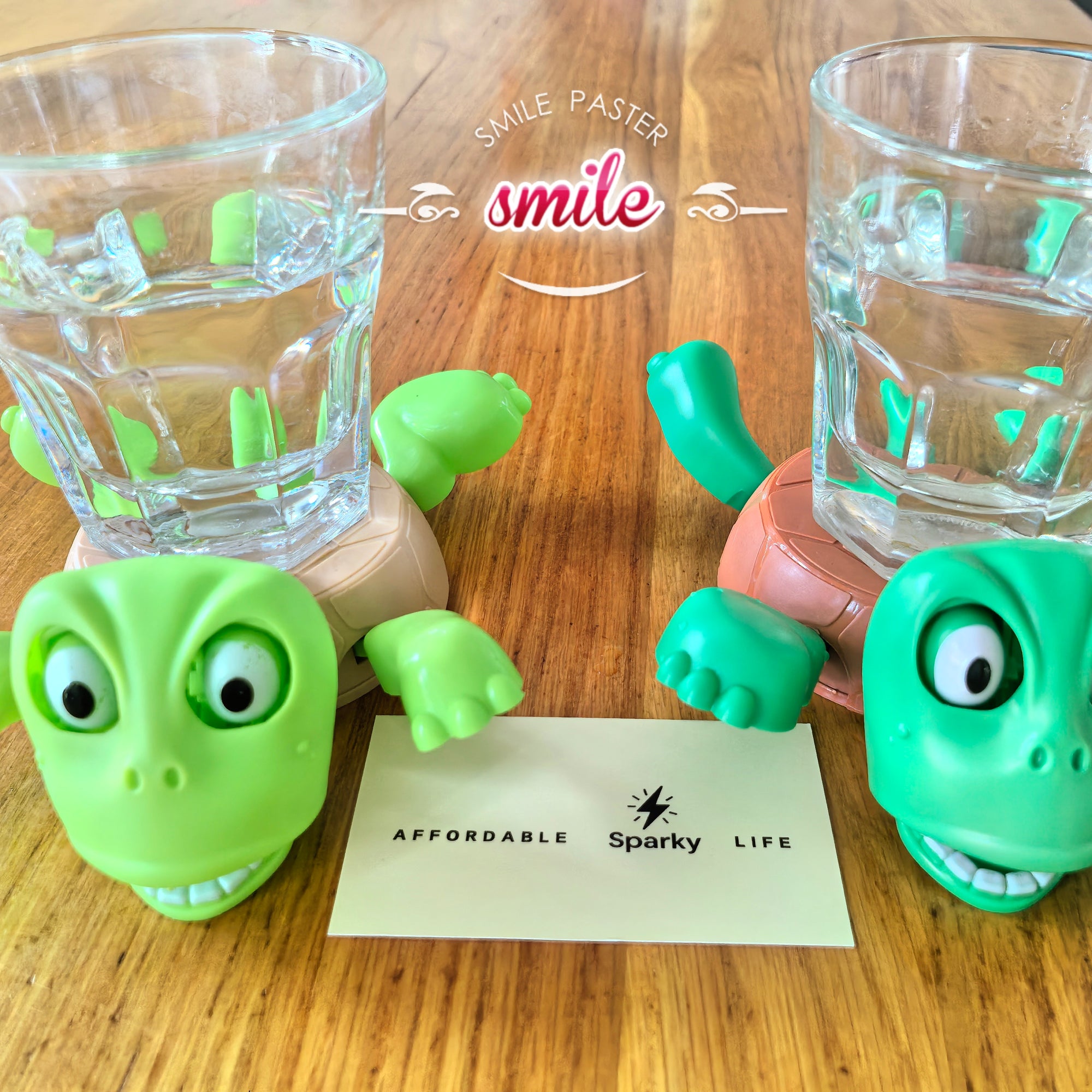 The Quirky Pop-Up Turtle Coaster