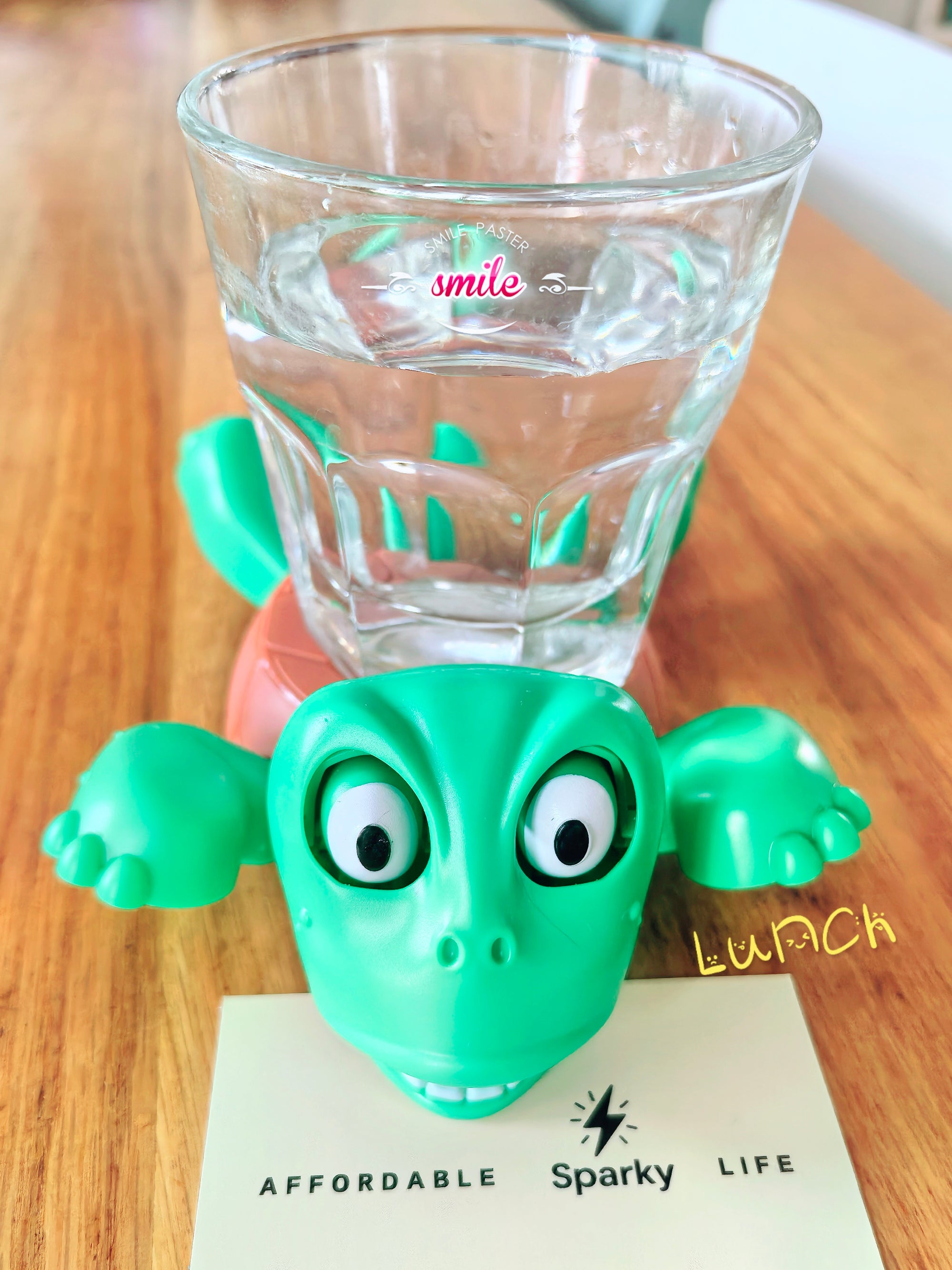 The Quirky Pop-Up Turtle Coaster