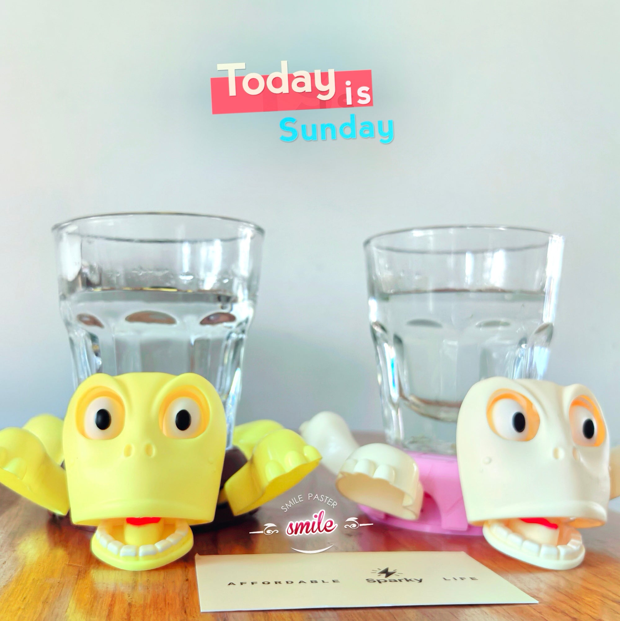 The Quirky Pop-Up Turtle Coaster