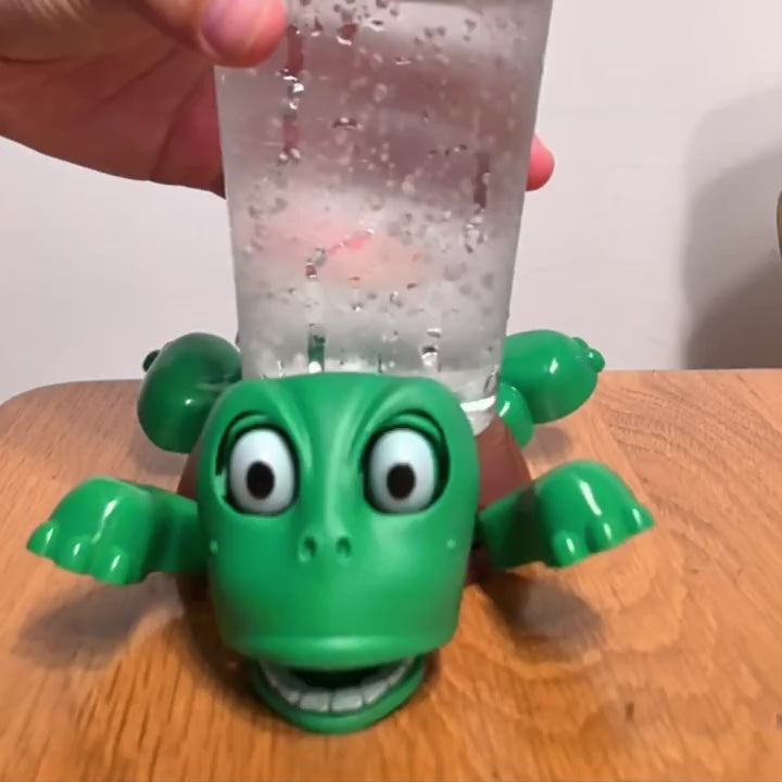 The Quirky Pop-Up Turtle Coaster
